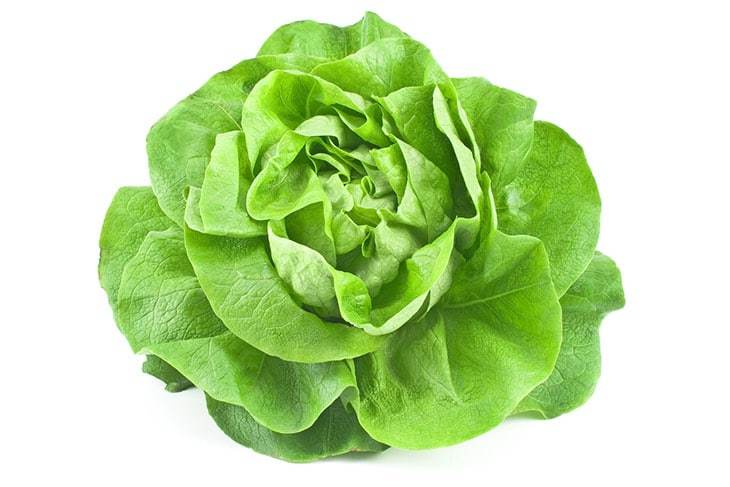 5 Vegetables You Can Still Grow Over Winter 5 Vegetables You Can Still Grow Over Winter