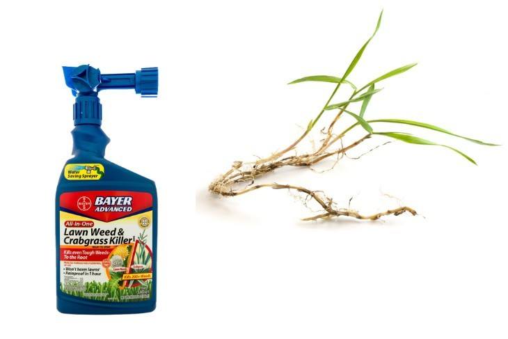 A-bottle-Bayer-Advanced-weed-and-crabgrass-killer