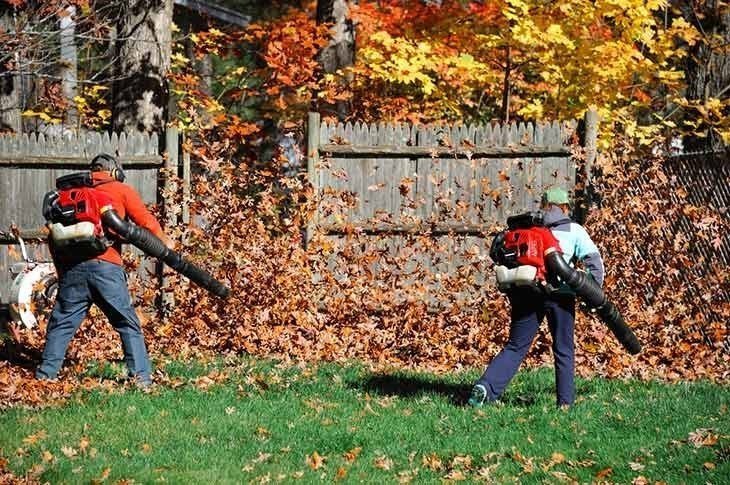 Choosing the engine of the gas leaf blower