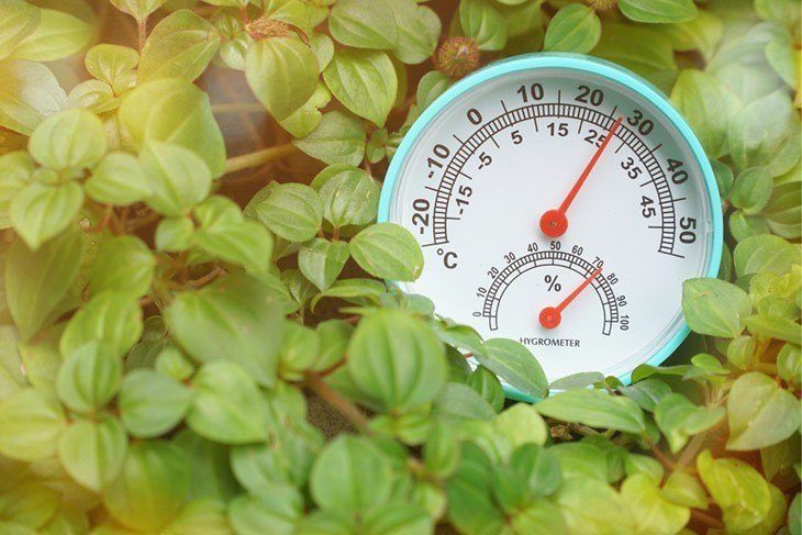 The temperature inside the grow tent