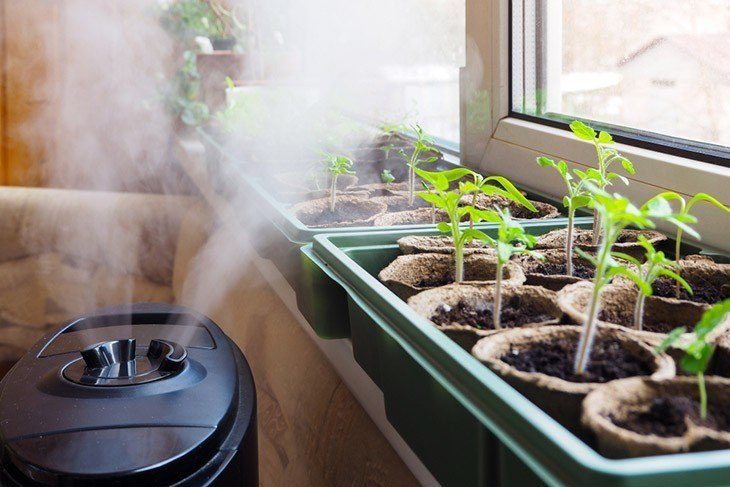 The temperature inside the grow tent