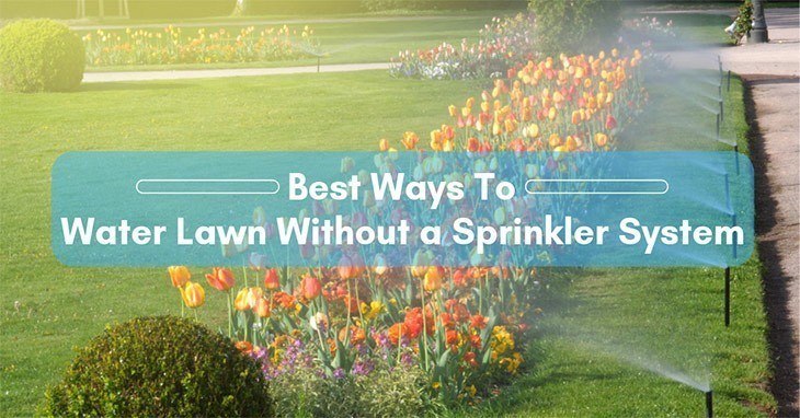 best-way-to-water-lawn-without-a-sprinkler-system