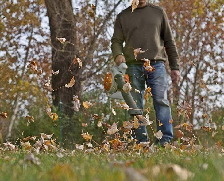 Handheld leaf blowers