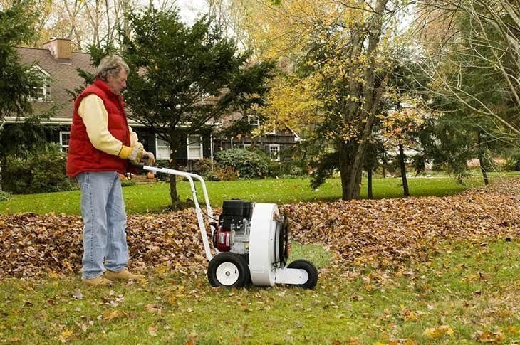 Walk-Behind leaf blower