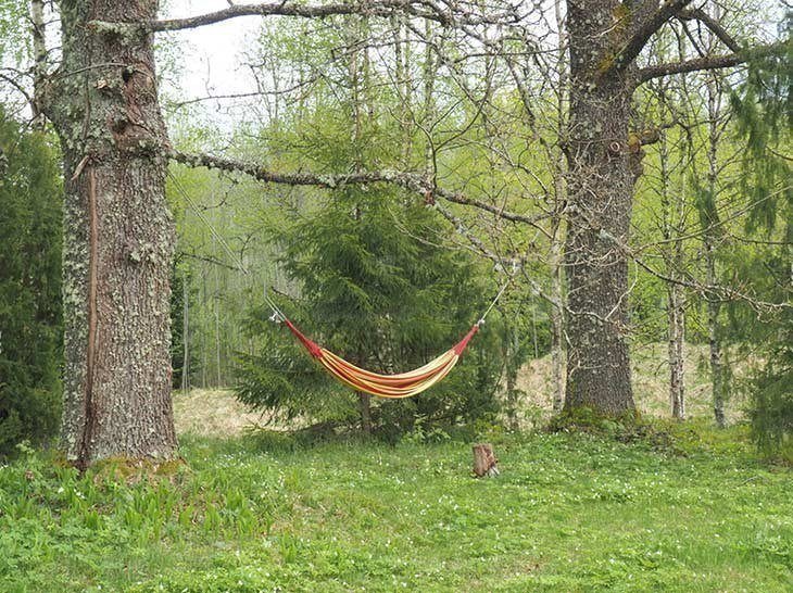 Hammock between two trees