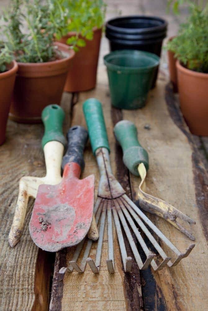Packing small gardening tools