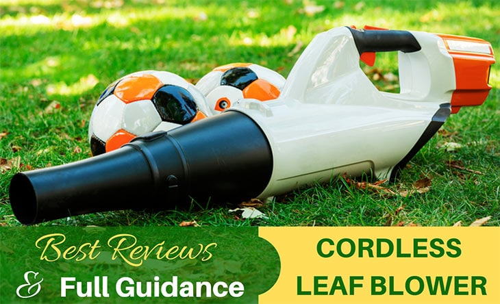 Best Cordless Leaf Blower Reviews
