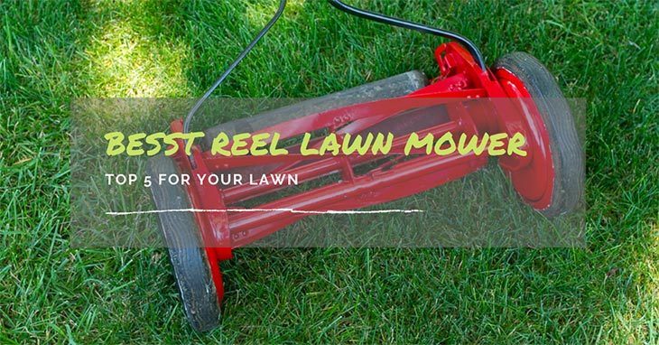 Best-Reel-Mower