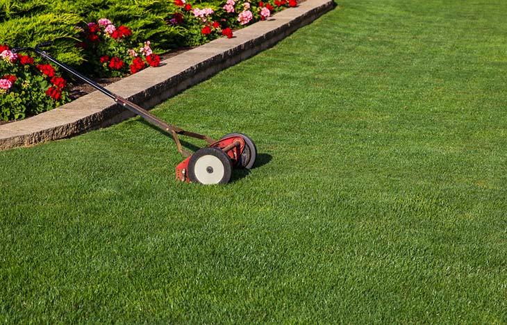 Your-lawn-will-have-a-perfect-looking-with-the-best-reel-mower