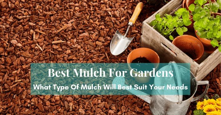 Best Mulch For Gardens