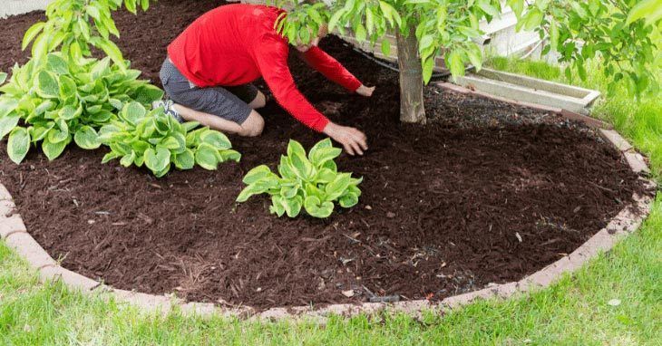 How-to-use-mulch