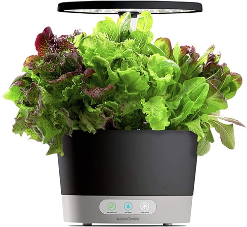 AeroGarden Harvest 360 Indoor Hydroponic Garden